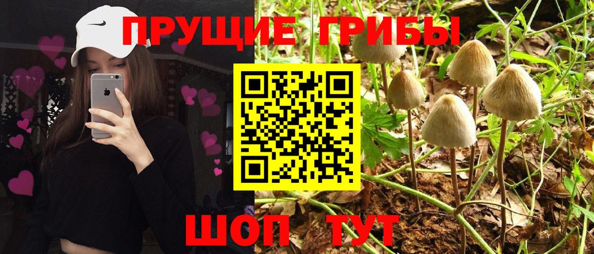 Псилоцибиновые грибы Psilocybine cubensis  дарнет шоп  Барабинск  Вход с VPN 